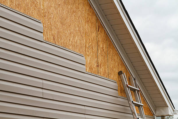 Professional Siding Repair technician working in Brownsville, OR